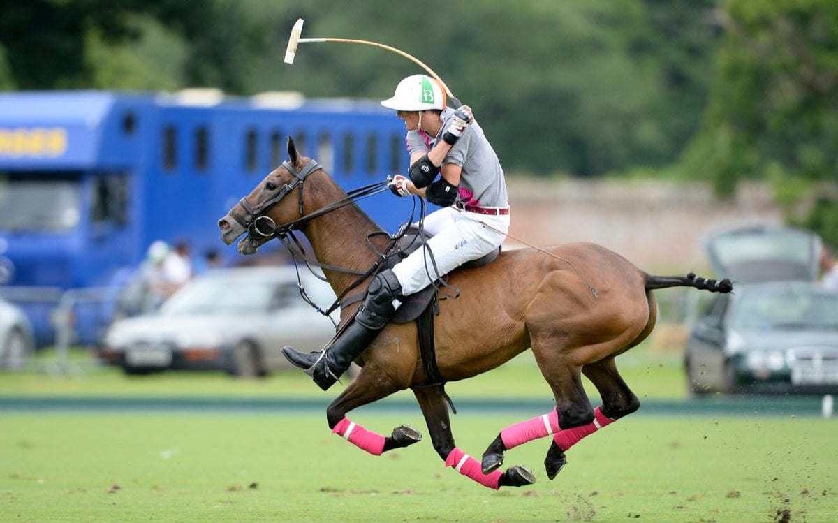 Polo