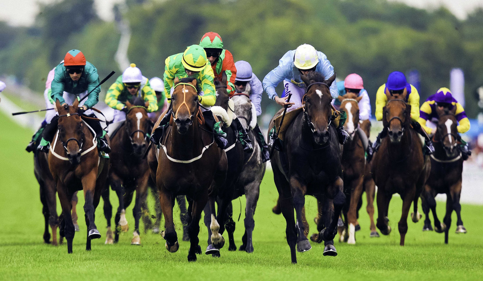 Horse racing